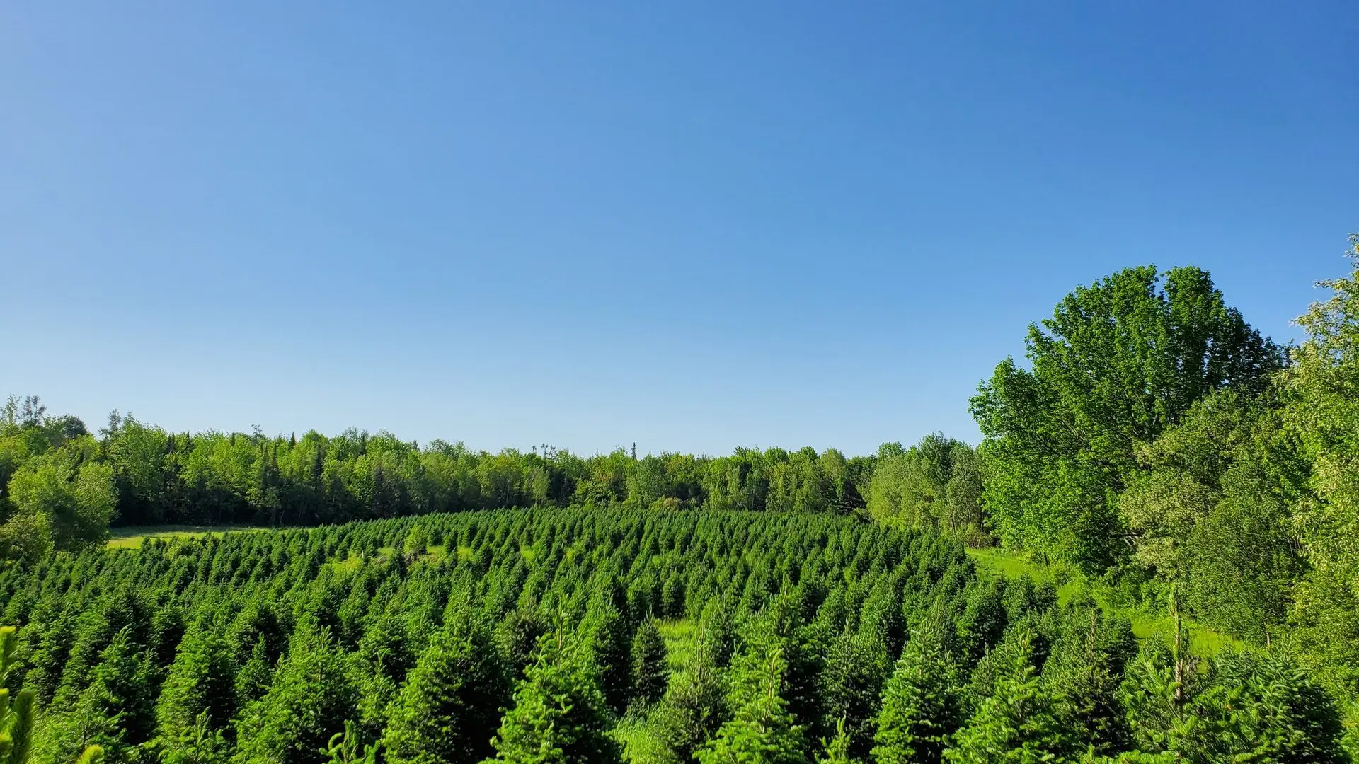 Vue panoramique de la Plantation Bernier