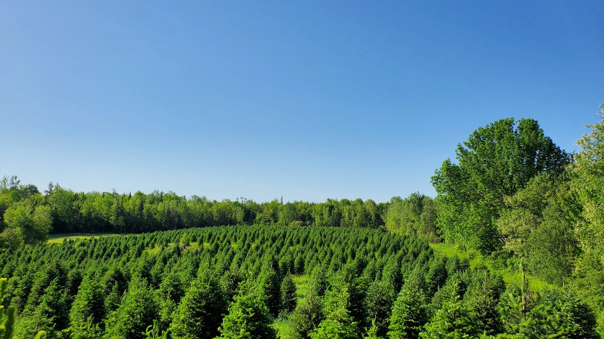 Vue panoramique de la Plantation Bernier